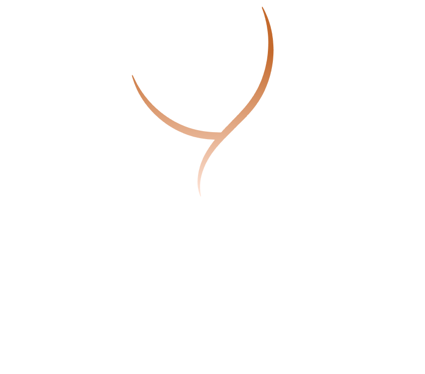 Vienna Grand Chauffeurs